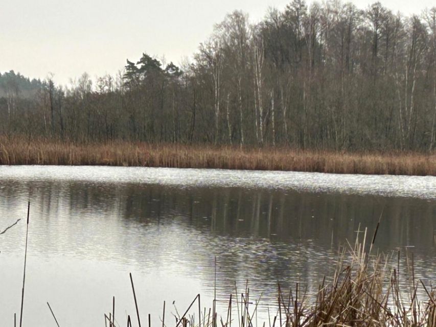 Działka Storkowo