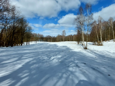 Działka siedliskowa Ińsko