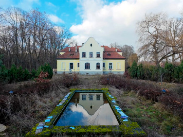 Dom Lubasz sprzedaż