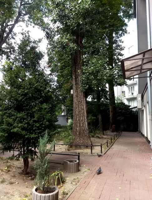 Mieszkanie Warszawa