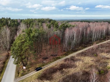 Działka Czarna Sędziszowska