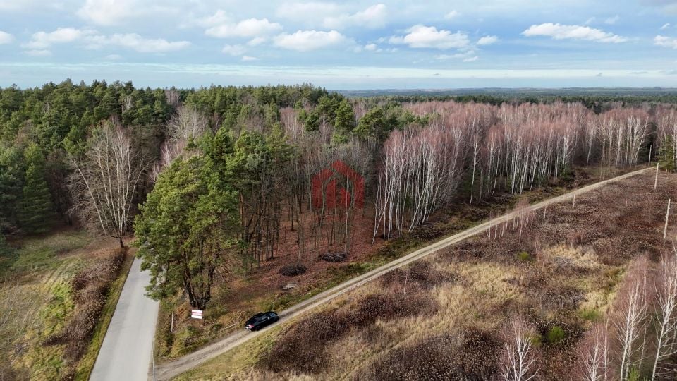 Działka Czarna Sędziszowska