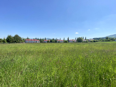 Działka Cisownica