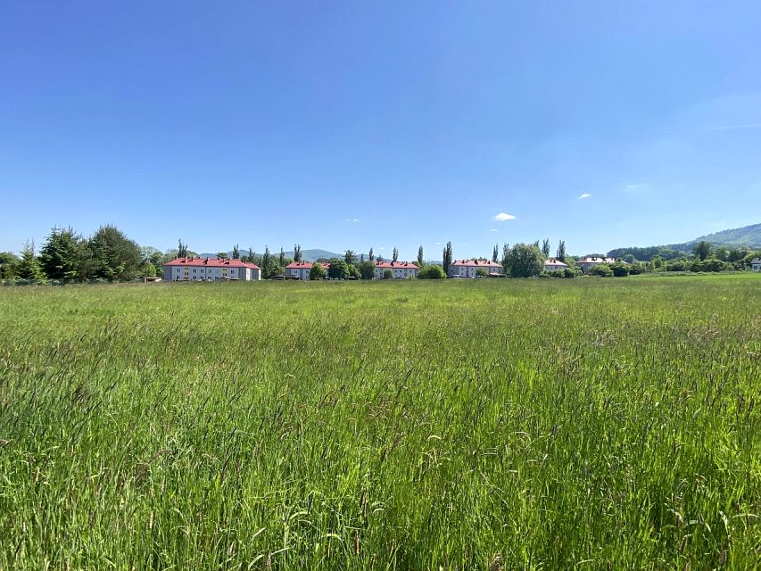 Działka Cisownica