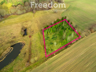 Działka Klonowo Górne