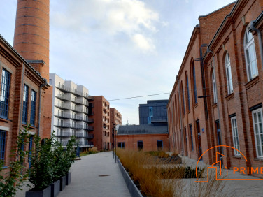 Lokal Warszawa