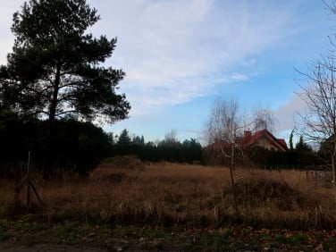 Działka budowlana Dąbrowa