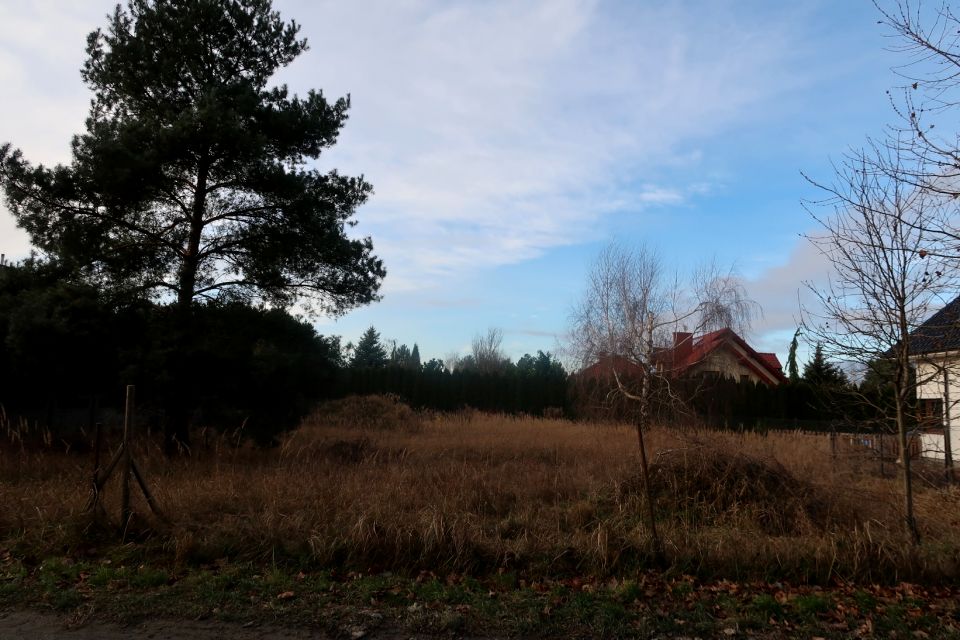 Działka budowlana Dąbrowa