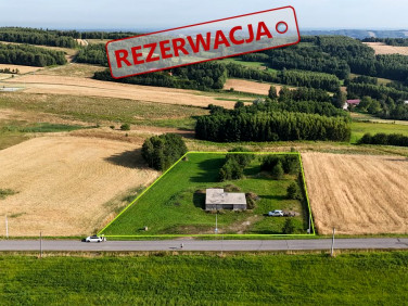 Działka przy lesie