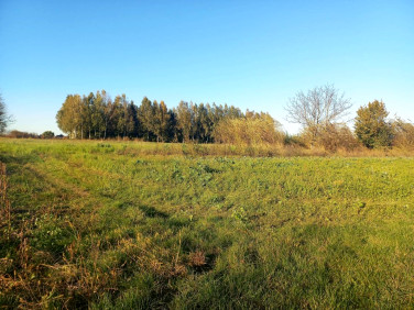 Działka Sonina