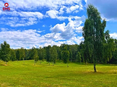 Zalesiona działka Samborowo