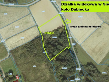 Działka rekreacyjna Sielnica