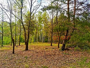 Działka budowlana Książenice