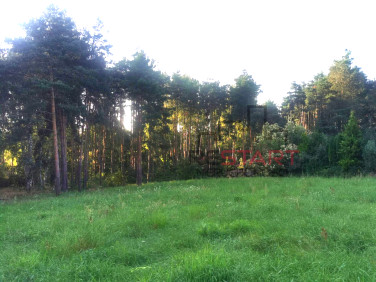 Działka Radonie