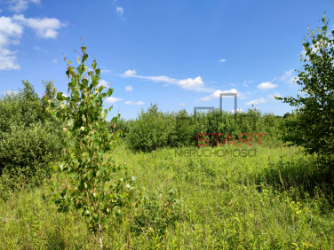 Działka budowlana Adamów-Parcel