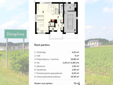 Dom Dziuplina