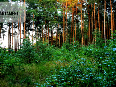 Działka Tomaszów Lubelski