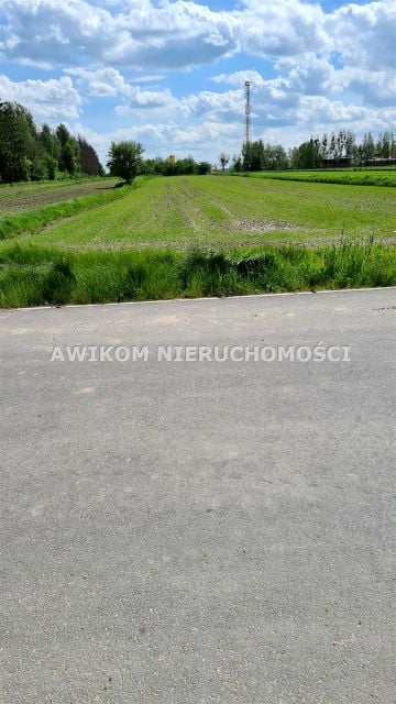 Zdjęcie 3