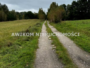 Działka siedliskowa Miastko sprzedam