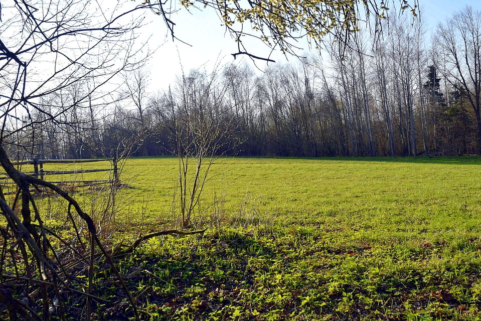 Działka budowlana Wysoka Wieś