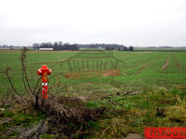 Działka inwestycyjna Lubecko