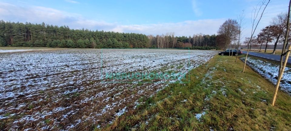 Działka siedliskowa Wygoda