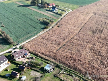 Działka BOROWA