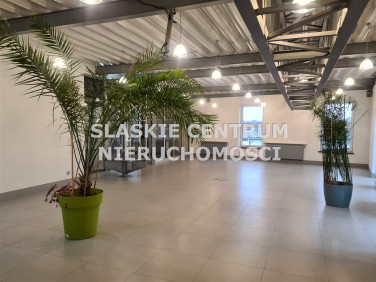 Lokal Będzin