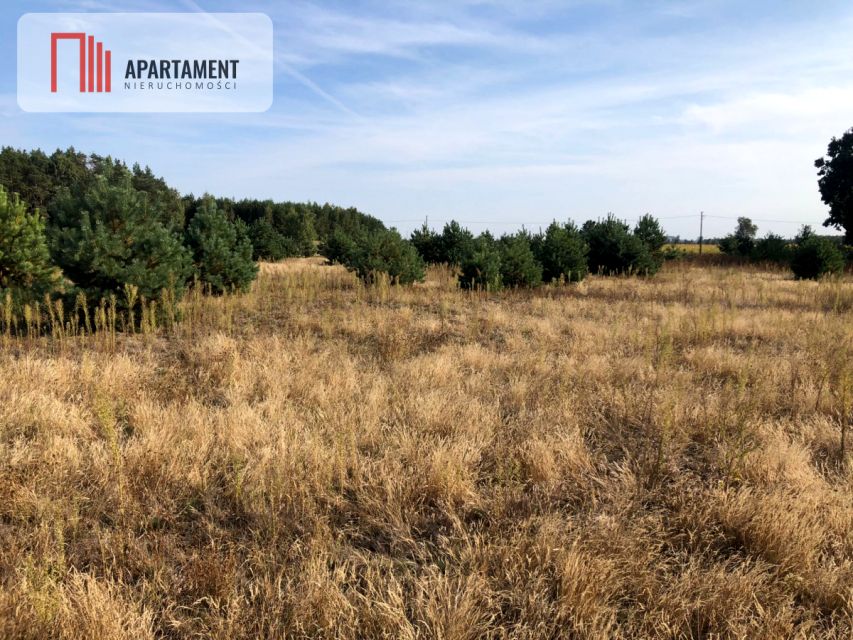 Działka budowlana Dąbrowa Wielka sprzedam