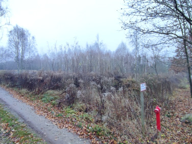 Działka Łagiewniki Nowe