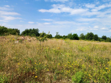 Działka budowlana Legnica