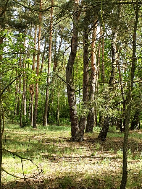 Działka budowlana Złotów