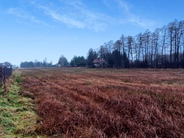 Działka budowlana Skrzyszów