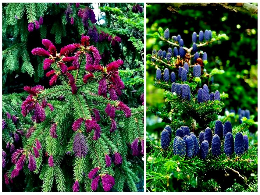 Działka budowlana sprzedam