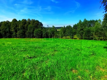 Działka budowlana Głogoczów