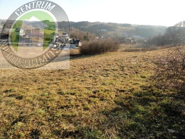 Zdjęcie 3