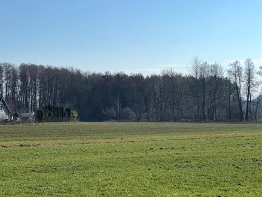 Pusta działka Skoczów