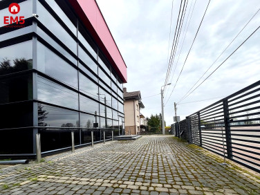 Lokal Białystok