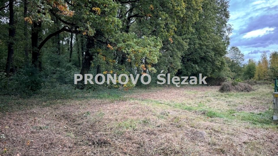 Działka Siemianice