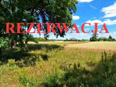 Działka ZAGRODY ŁUKOWIECKIE