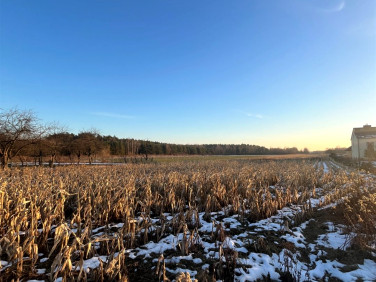 Działka inwestycyjna Lubaczów