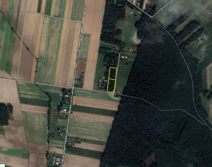 Działka Borszewice Kościelne
