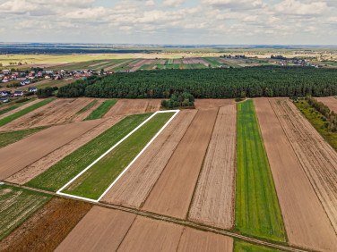 Działka inwestycyjna Emilianów sprzedam