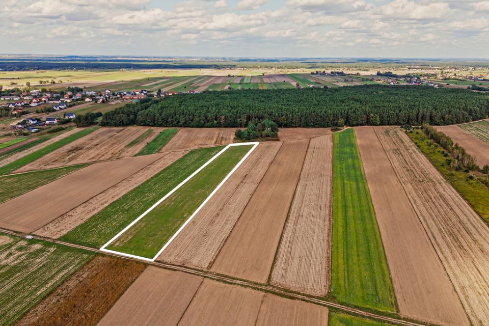 Działka inwestycyjna Emilianów sprzedam