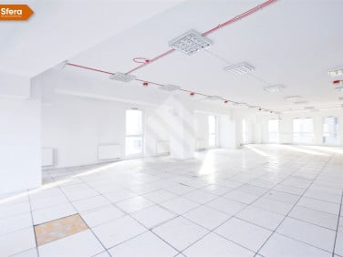 Lokal Bydgoszcz