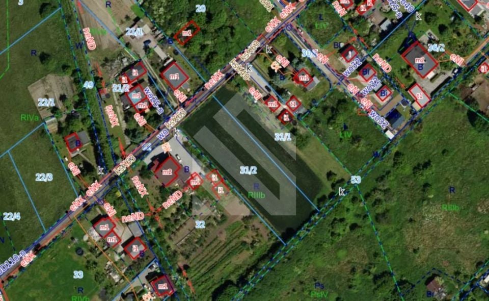 Zdjęcie 3