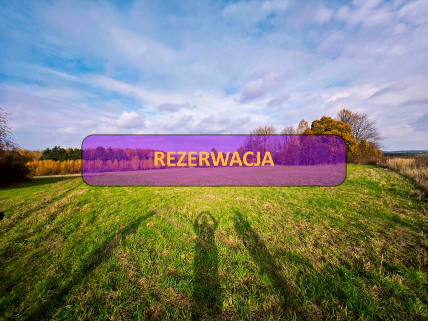 Działka Kiełkowice