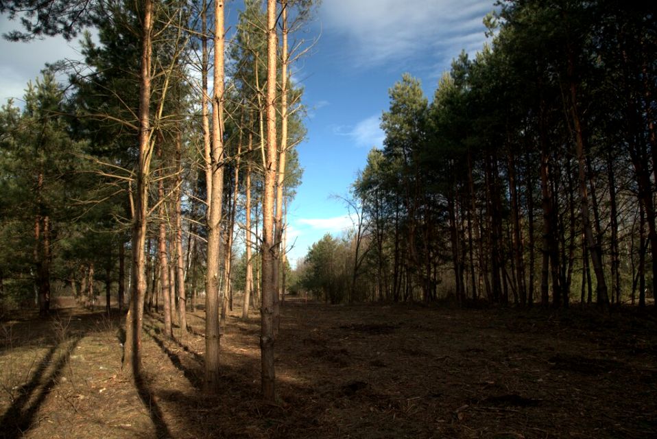 Działka Wierzchosławice