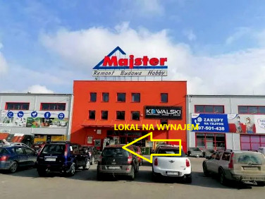 Lokal Sanok wynajem