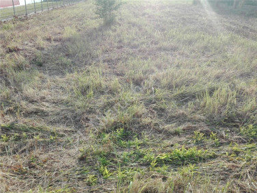 Działka budowlana sprzedam